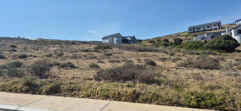 0 Bedroom Property for Sale in Outeniquasbosch Western Cape